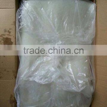 Frozen Giant Squid Fillet photo-2