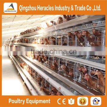 Qingtzhou Heracles High Quality Poultry Egg Layer Chicken Cage Price
