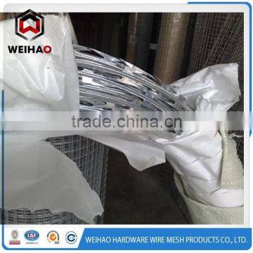 Sharp Barbed Wire photo-2