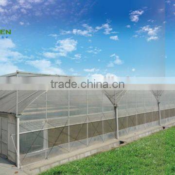 2017 Hot Sale Multi Span Plastic Film Tomato Greenhouse photo-3