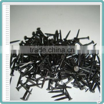 11-25mm High Quality Shoe Tacks Nails