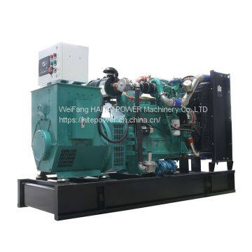 10kw CHP Biogas Methane Engine Generator Supplier photo-5