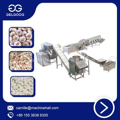 Factory Support Industrial Garlic Processing Production Line