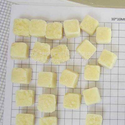 Frozen IQF Garlic Puree Tablet photo-2