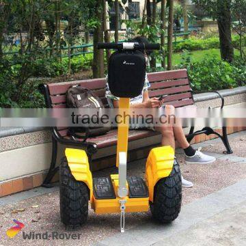 Wind Rover V5 electrical car electrical vehicle for sale