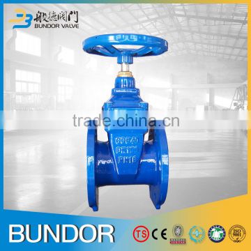 2016 China Supplier High Quality Manual Soft Seal Cast Steel Gate Valve