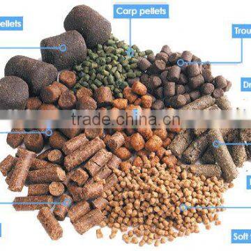 New Product Floating Fish Fodder Extrusion Making Machine photo-4