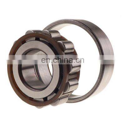 50x110x27mm Cylindrical Roller Bearing N 310 ECP N310ECP