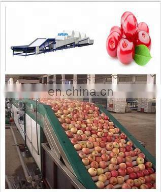 Made in CHINA Fruit & Vegetable Processing Machines Fruit Vegetable Washing Equipments photo-5