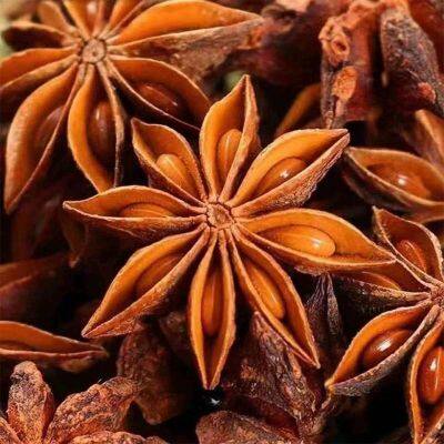 Aniseed photo-3