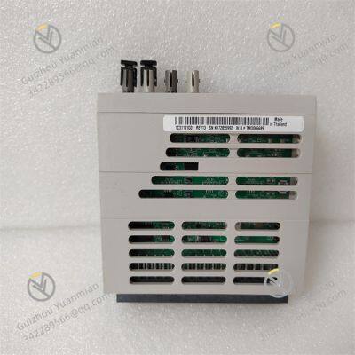 1C31181G01 EMERSON High performance modules in Ovation distributed control system (DCS)