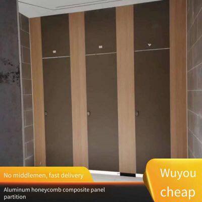 Second-generation Anti-betal Moisture-proof Wood Grain Board, Student Toilet Partitions, Mall Restroom Toilet Baffles for Engineering photo-2