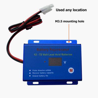 12V 24V 36V 48V 60V 72V Battery Rejuvenator Battery Repaired