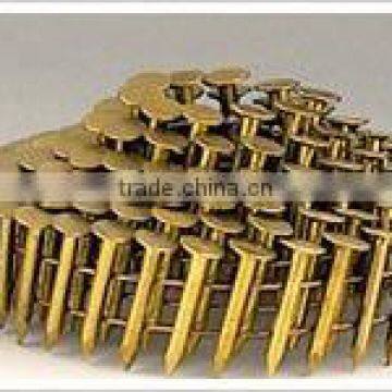 nails/common nail