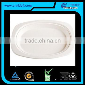 Biodegradable disposable ecofriendly sugarcane pulp oval plates