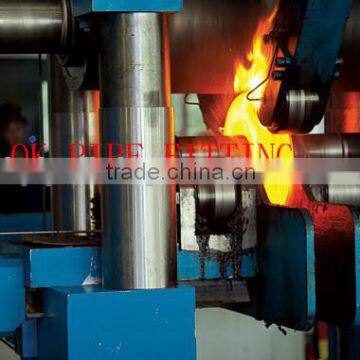 SS 904L Slip-On Flanges SS 904L Weld Neck Flanges SS 904L Blind Flanges photo-2