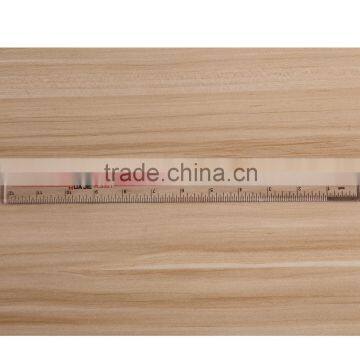 Customized Custom Made PS Ruler With 30cm Scale