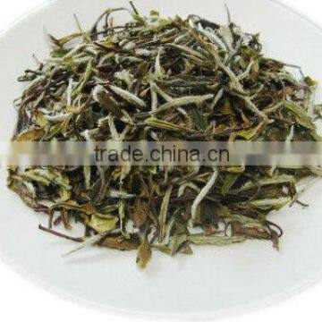 White Tea superior Bai Mu Dan