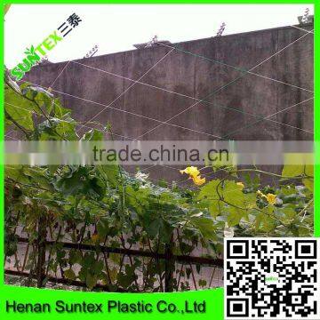 hot selling 2*50 m rigid green extruded plastic pea and bean climbing net