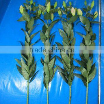 Alibaba china oriental lily flower wholesale fresh cut flowers