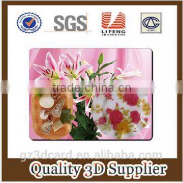 2015 plastic custom 3D effect pictures dinning table mat for wholesale