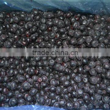 IQF frozen Blueberry with good quality and hot price