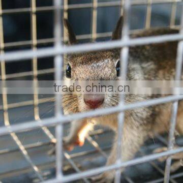 pest control rat trap