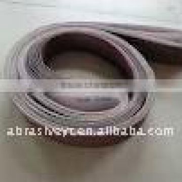 electrostatic adhesion coated endless abrasive belt