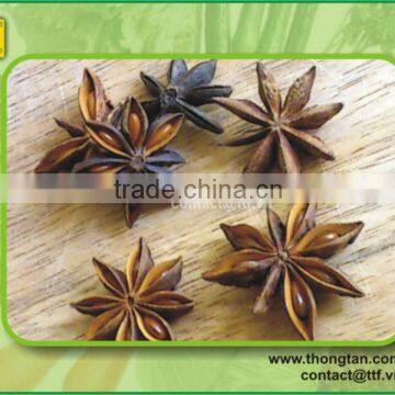 Star anise by Thongtan , good price from Vietnam