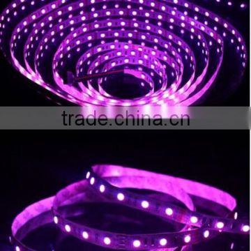 manufacture christmas decorative light 220V flexible led strip light