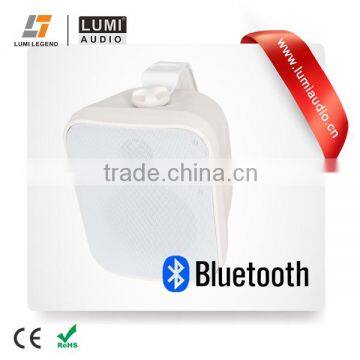 Lumiaudio 5.25 inch Outdoor Bluetooth Wall Mount Speaker