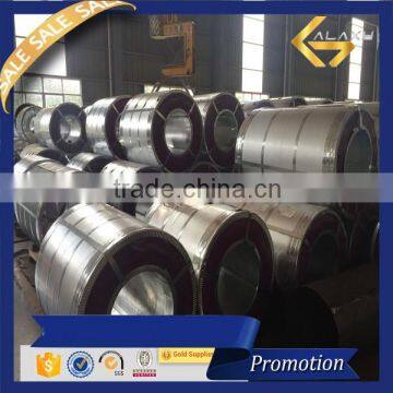 From Hot Sale The Spot Galvanized Steel Coil