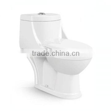 Sanitary Squatting Water Closet