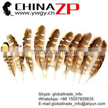 No.1 Supplier CHINAZP Top Selling 20-25cm Length Natural Reeves Venery Wing Pheasant Feathers for Decorations photo-5