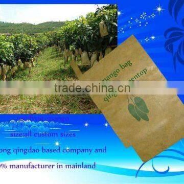 fruit growing paper bag(mango,Loquat,peach)