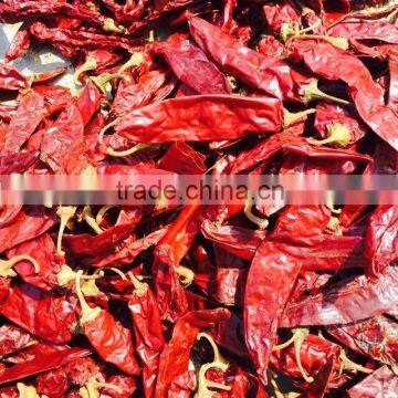 red Chilli pepper