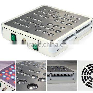 New Apollo4 40*5w 200w Red Blue Indoor Plant Grow Light Hanging Light for Garden Greenhouse and Hydroponic Aquatic