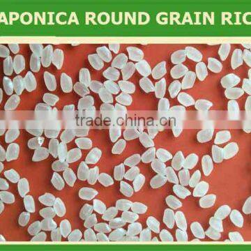 Vietnamese Jasmine Fragrant White Rice - High Quality GOOD FOR HEALTH photo-3
