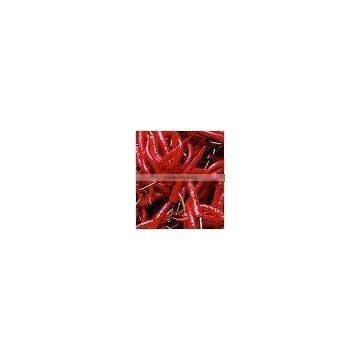 Red Chilly