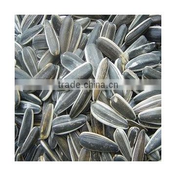 Sunflower seeds