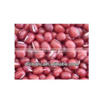 2015 Crop Kidney Bean photo-2