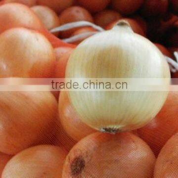 Fresh yellow onion exporters in China onion price ton