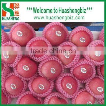 Good quality Sweet and Juicy fresh Fuji Apple for exporting