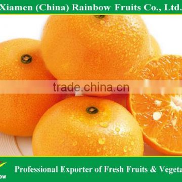 2015 Baby mandarin /fresh mandarin orange/tangerine for Russian market