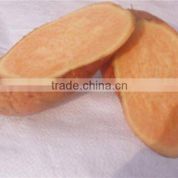 Chinese purple sweet potato/yellow sweet potato