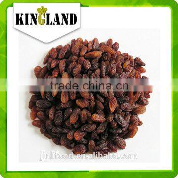 China High quality AAA Sultana Raisin with best price and high quality