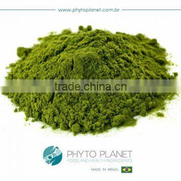 SPRAY DRIED SPINACH POWDER