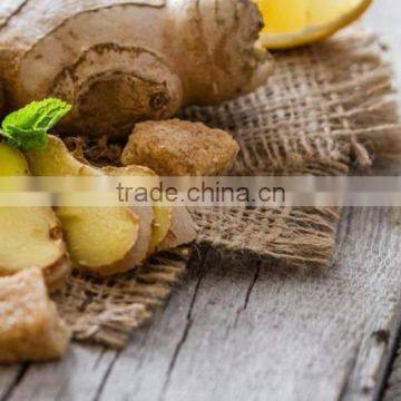 100% Pure Ginger Essential Oil