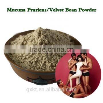 Herbal supplements type penis strong medicine mucuna pruriens powder