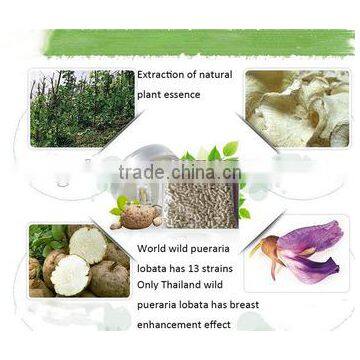 Thailand Pueraria Mirifica Capsules Big Breast Enhancement 1000 Pcs photo-2